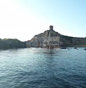 Foto annuncio 16