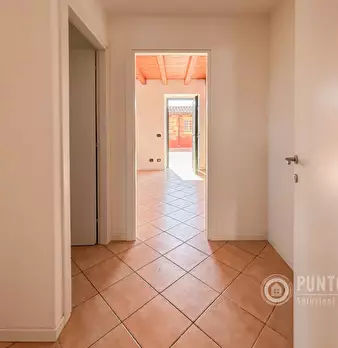 Foto annuncio 12