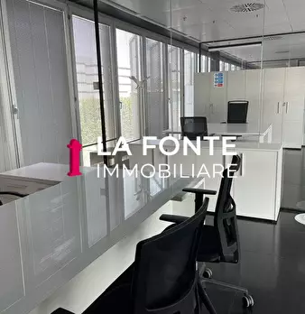 Foto annuncio 7