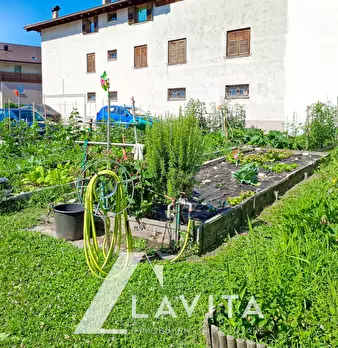 Foto annuncio 26