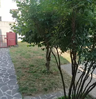 Foto annuncio 5