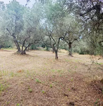 Foto annuncio 4