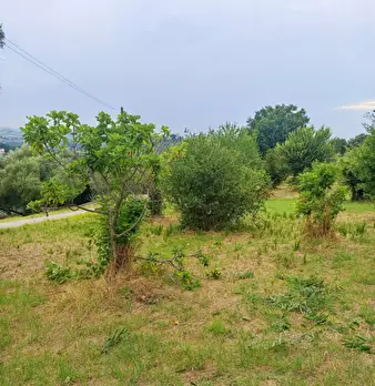 Foto annuncio 9