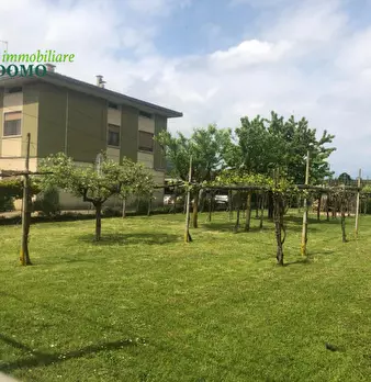 Foto annuncio 4
