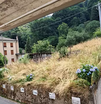 Foto annuncio 4