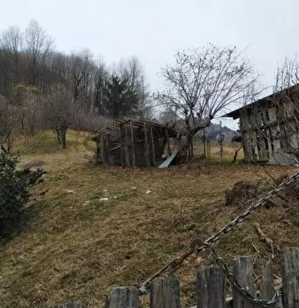 Foto annuncio 6