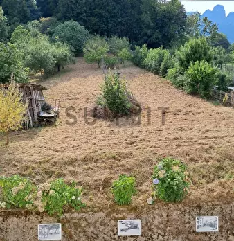 Foto annuncio 8