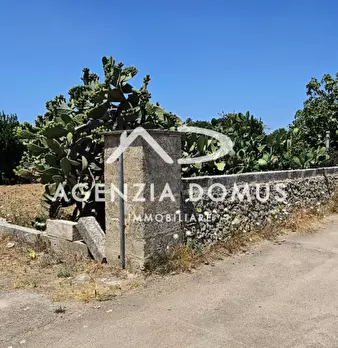 Foto annuncio 4