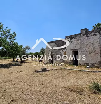 Foto annuncio 9