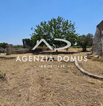 Foto annuncio 11