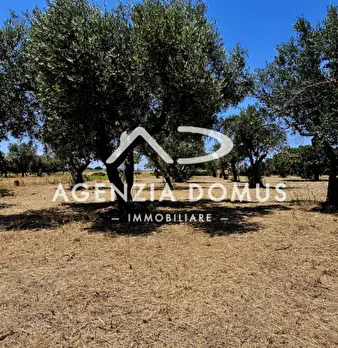 Foto annuncio 23