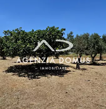 Foto annuncio 24