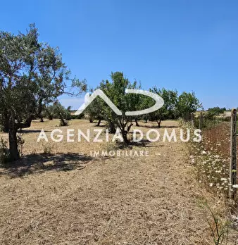 Foto annuncio 25
