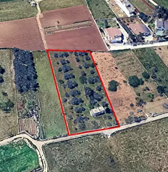 Foto annuncio 27