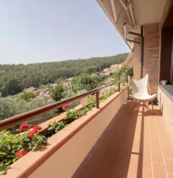 Foto annuncio 7