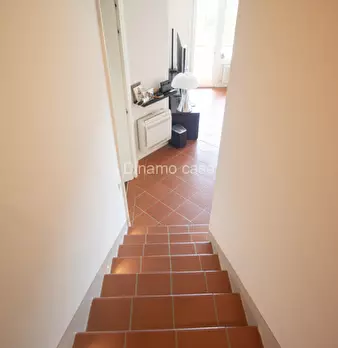 Foto annuncio 24