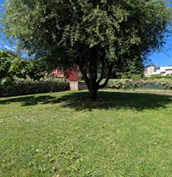 Foto annuncio 43
