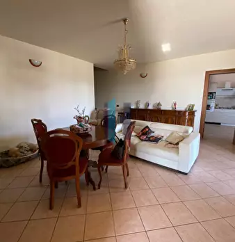 Foto annuncio 21