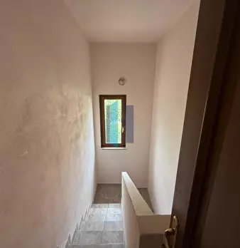 Foto annuncio 36