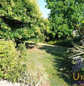 Foto annuncio 12