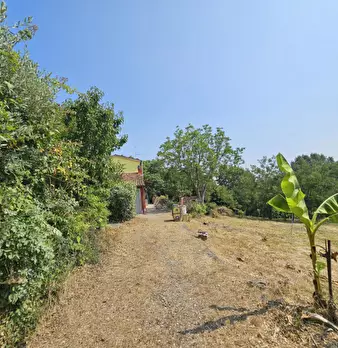 Foto annuncio 11