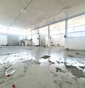 Foto annuncio 2