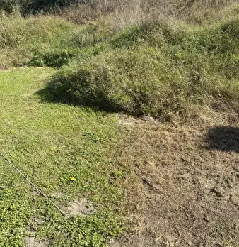Foto annuncio 12