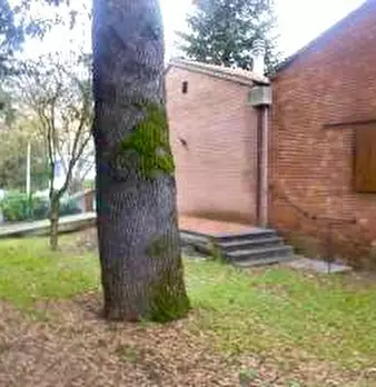 Foto annuncio 25