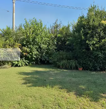 Foto annuncio 3