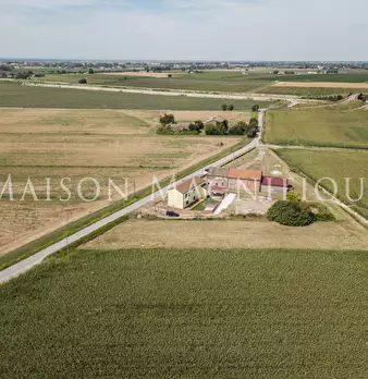 Foto annuncio 21