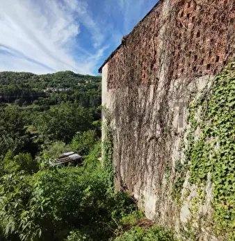 Foto annuncio 12