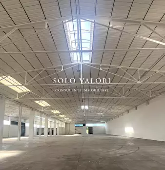 Foto annuncio 5