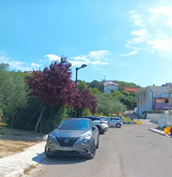 Foto annuncio 42