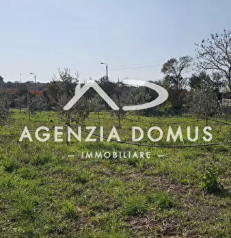 Foto annuncio 10