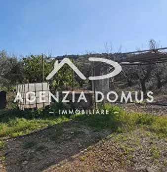 Foto annuncio 17