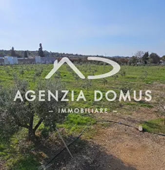 Foto annuncio 24