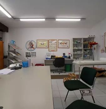 Foto annuncio 4
