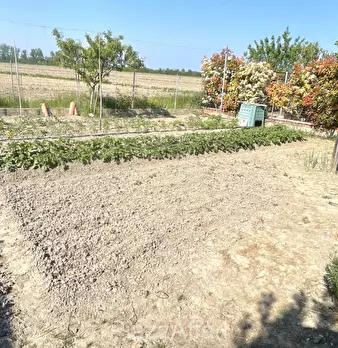 Foto annuncio 24