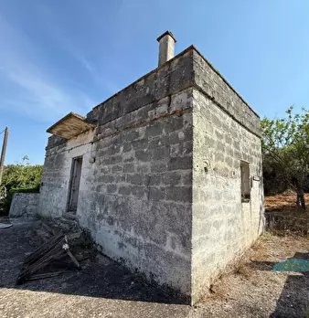 Foto annuncio 1