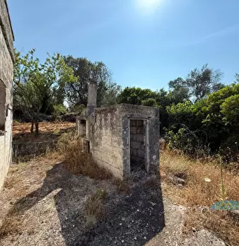 Foto annuncio 7