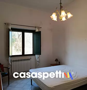 Foto annuncio 8