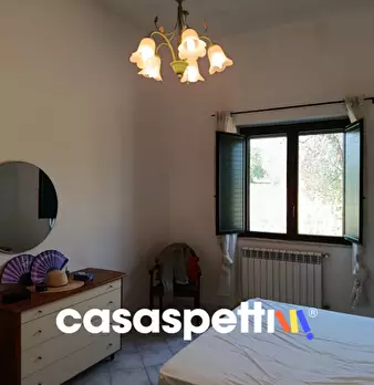 Foto annuncio 9