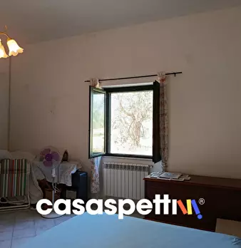 Foto annuncio 12