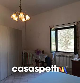 Foto annuncio 13