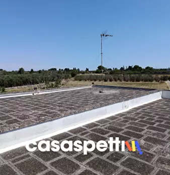 Foto annuncio 19