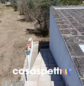 Foto annuncio 23