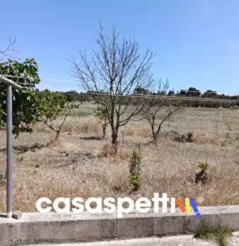 Foto annuncio 28