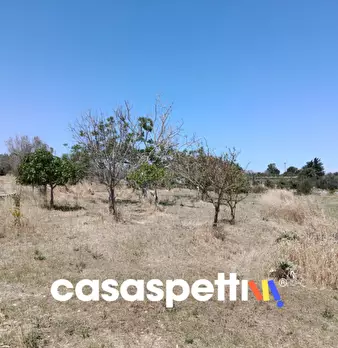 Foto annuncio 29