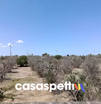 Foto annuncio 32
