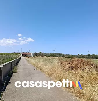 Foto annuncio 33